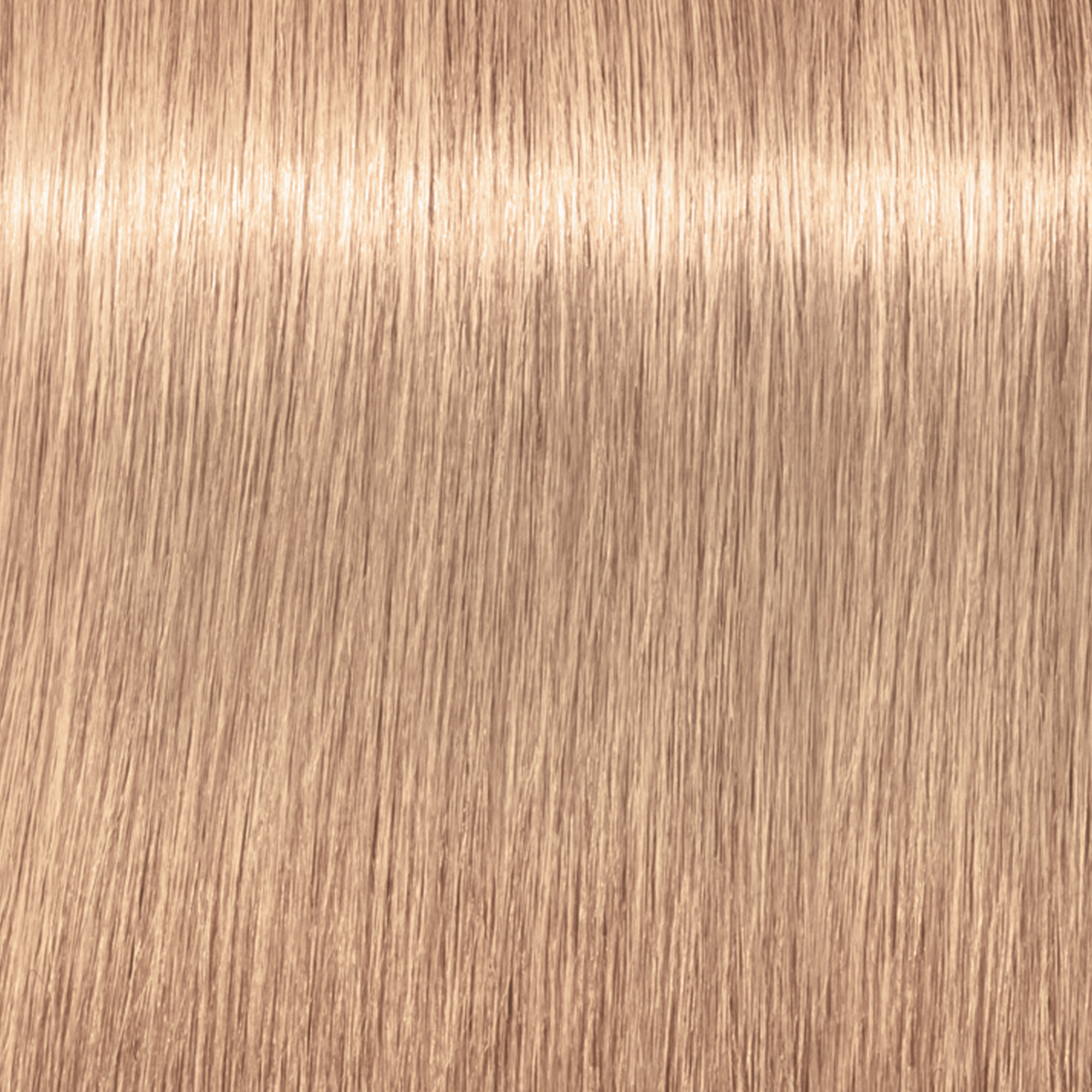 Schwarzkopf Igora Royal Highlifts