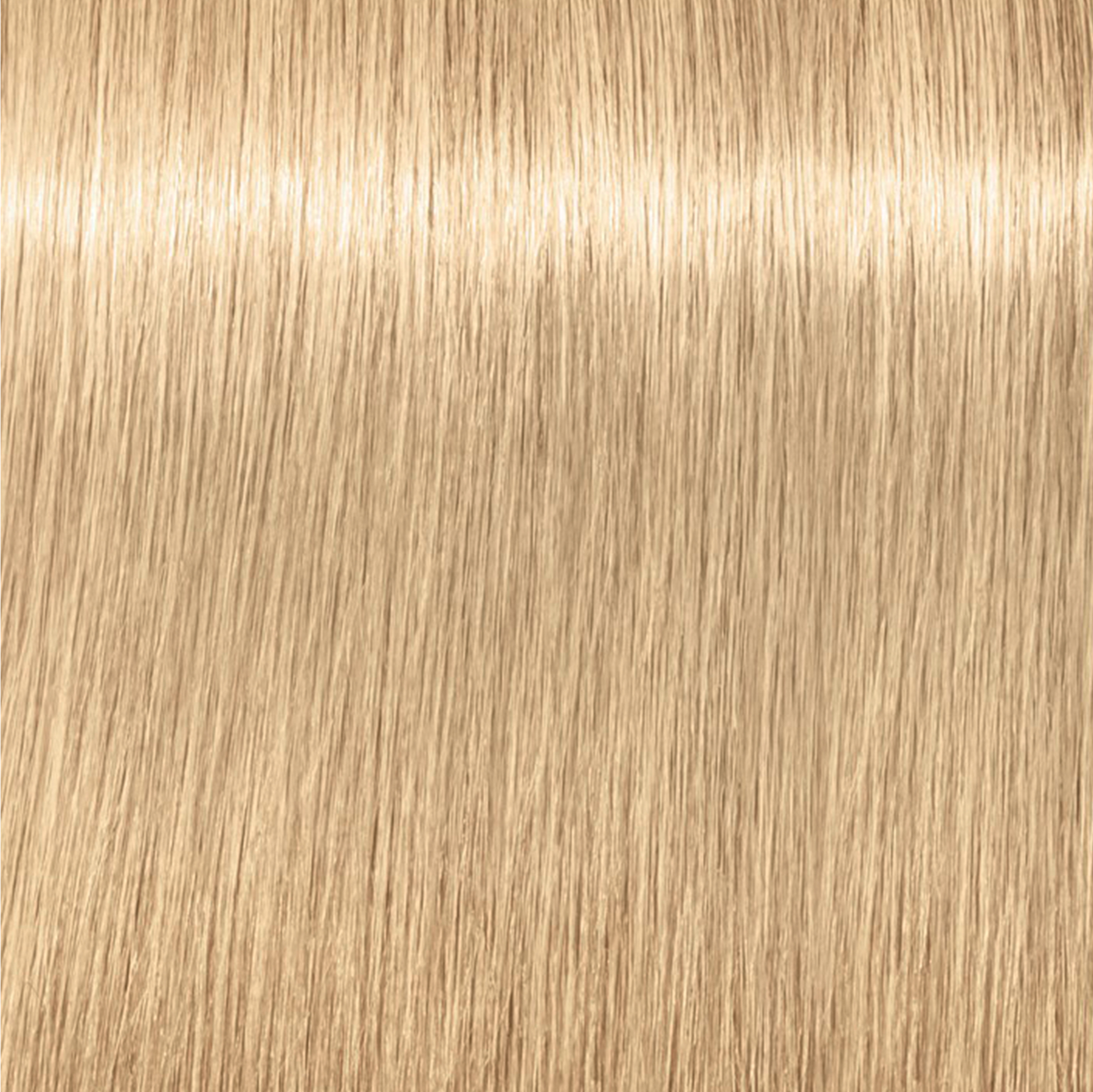 Schwarzkopf Igora Royal Highlifts