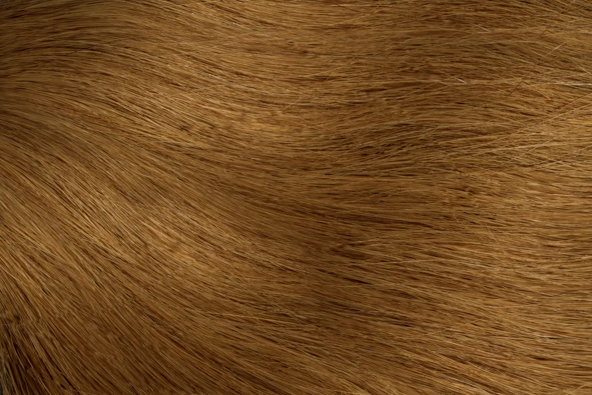 Gold Fever Hair Tapes 45 cm