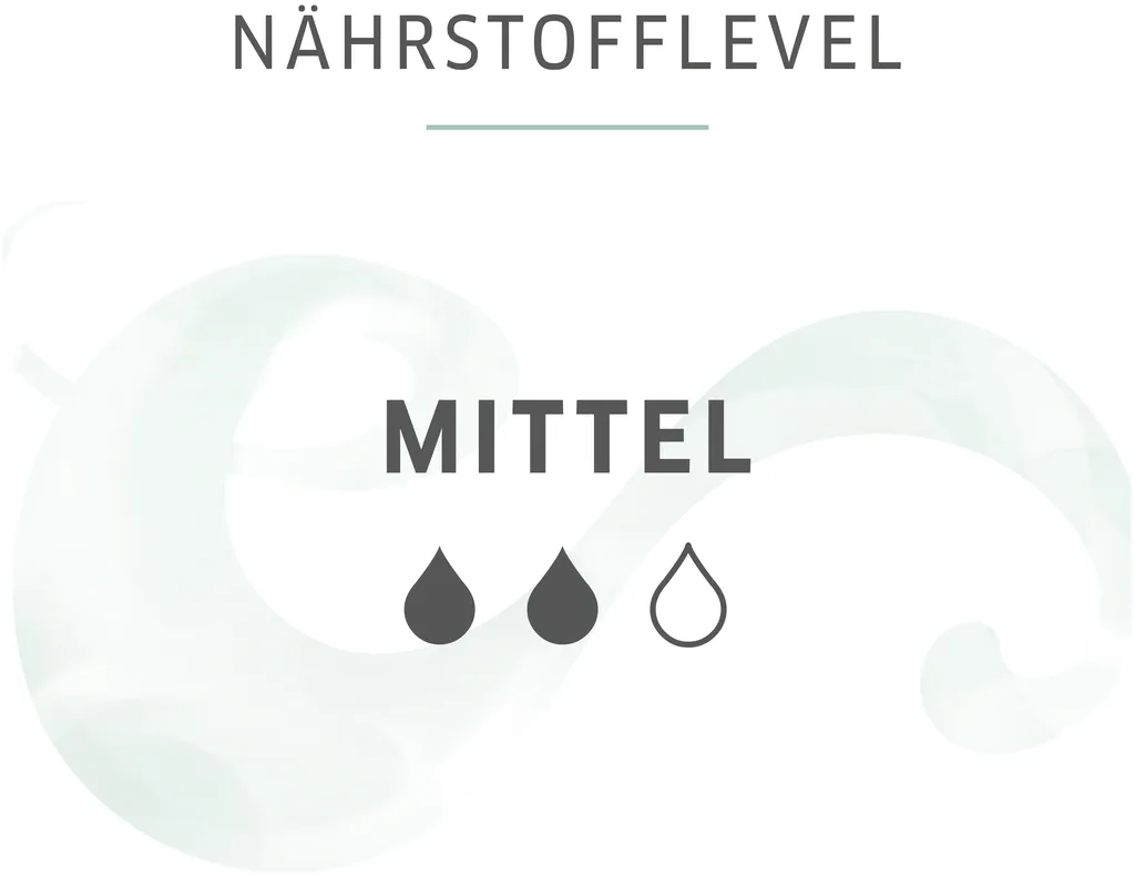 Wella Nutricurls Curls Shampoo