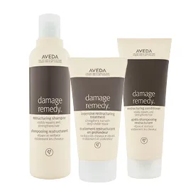 Aveda Damage Remedy