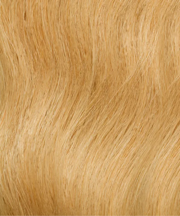 Gold Fever Bonding Extensions 45 cm