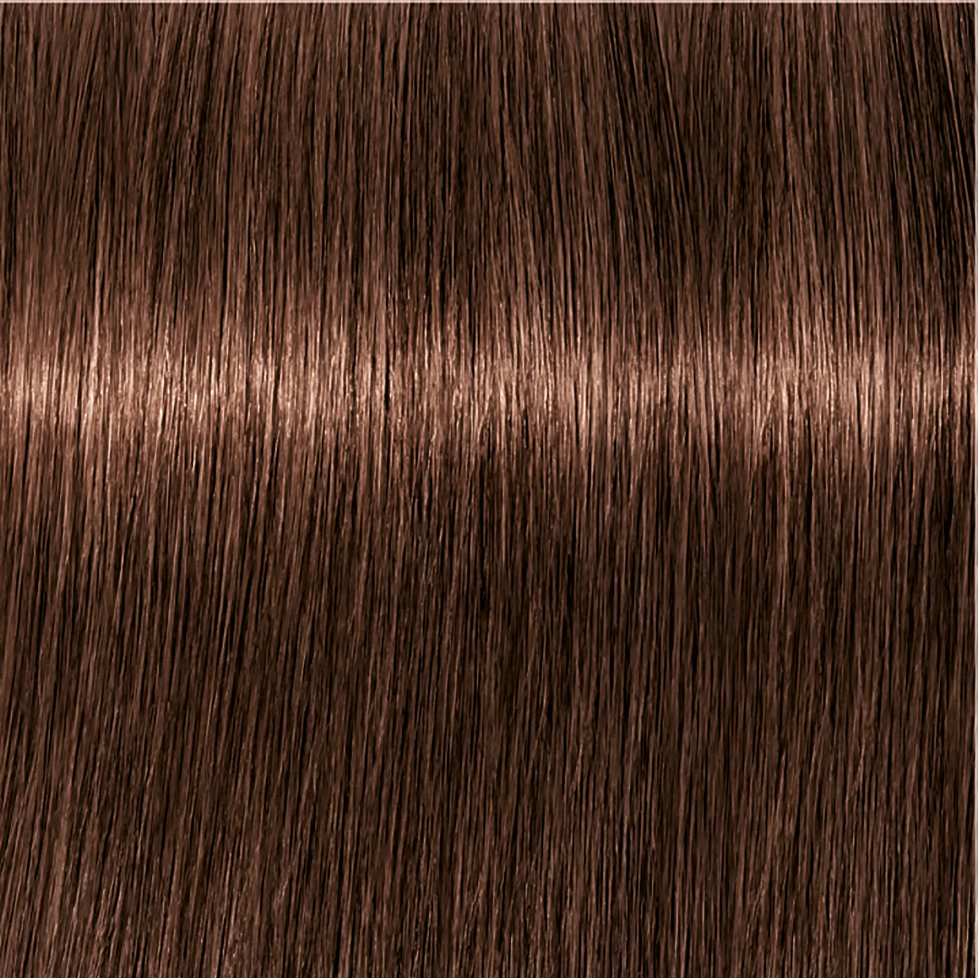 Schwarzkopf Igora Royal