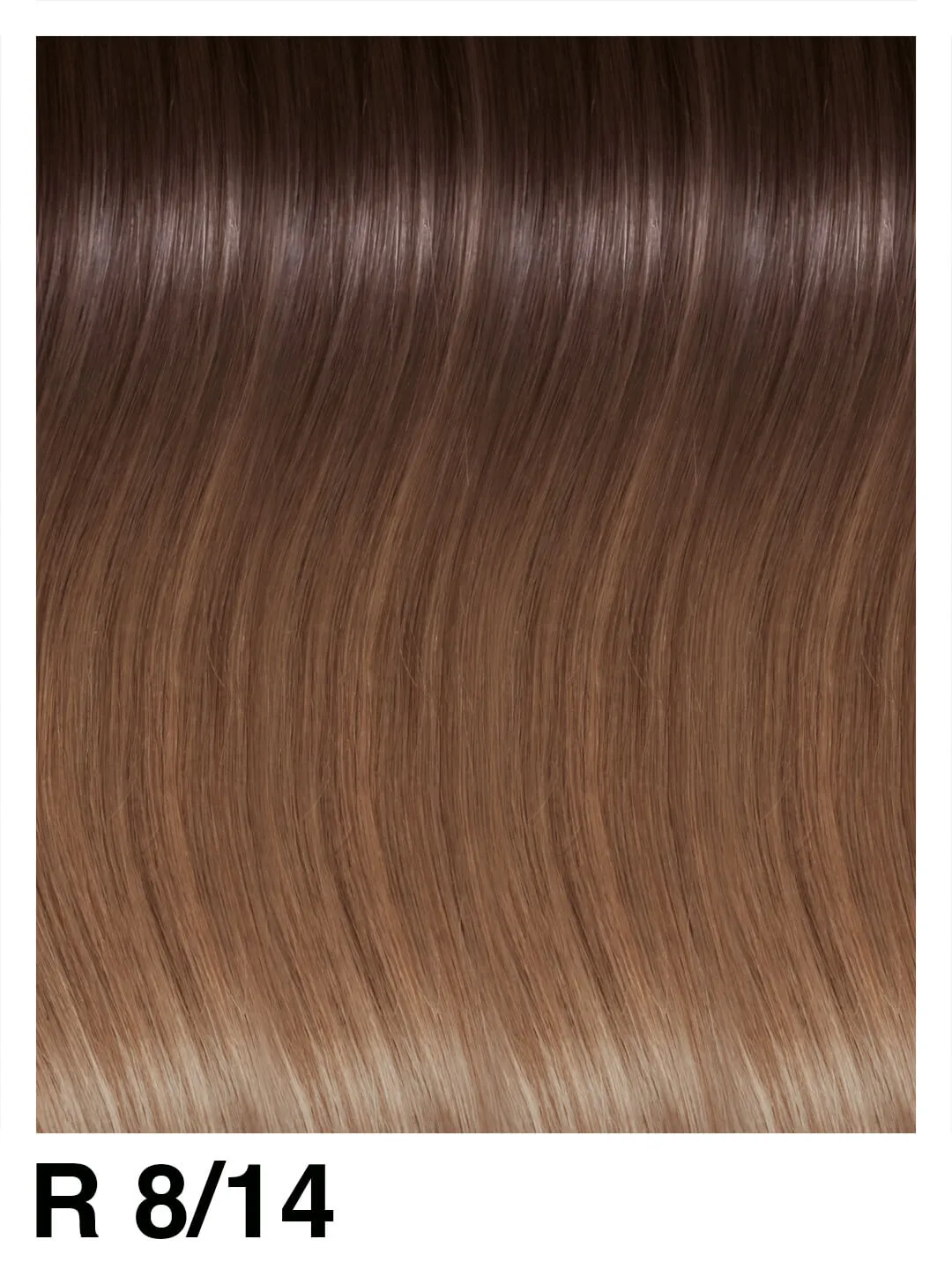 SHE Clip System Beverly Rooted 45/50 cm