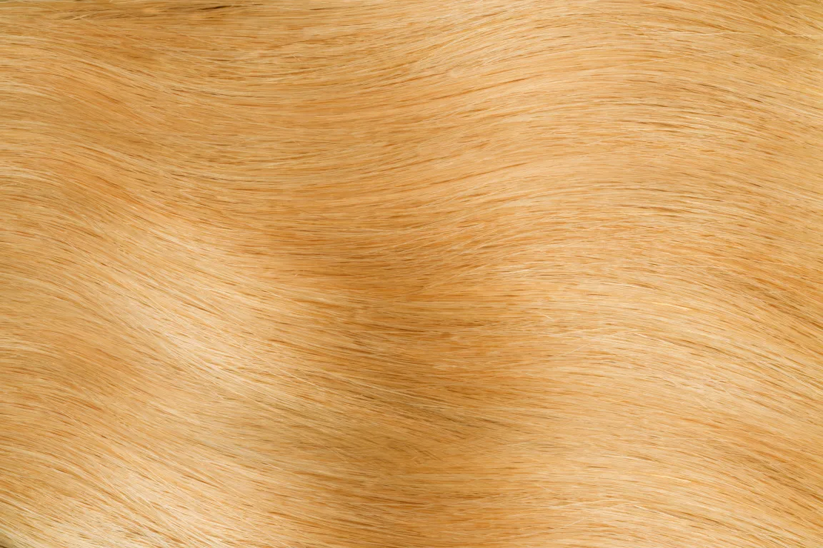 Gold Fever Hair Tapes 45 cm