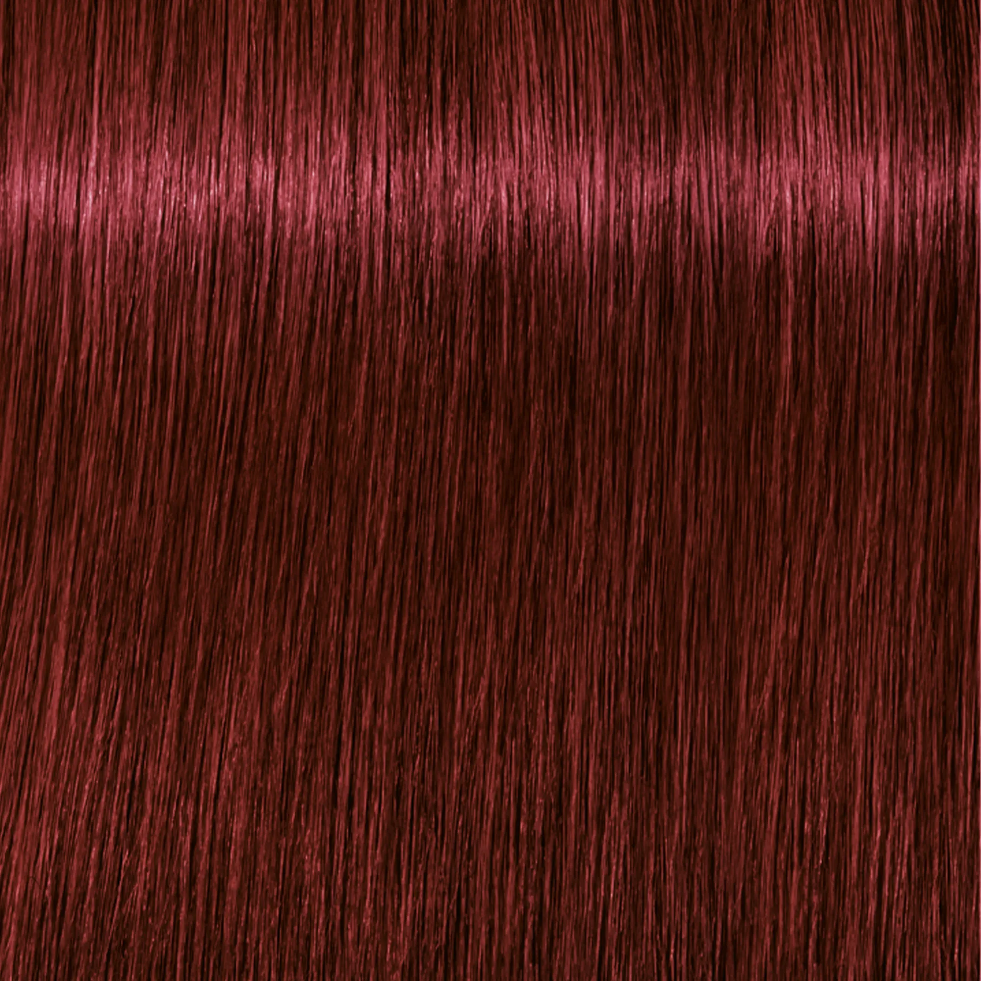 Schwarzkopf Igora Vibrance Tone on Tone