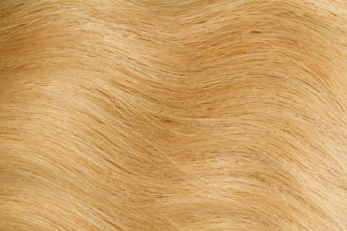 Gold Fever Hair Tapes 45 cm