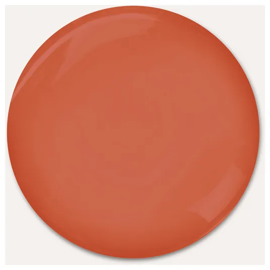 Rausch Spezial-Shampoo mit Weidenrinde