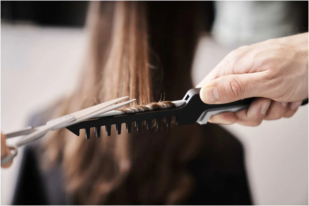 Hercules Sägemann Splissart Spliss-Kamm