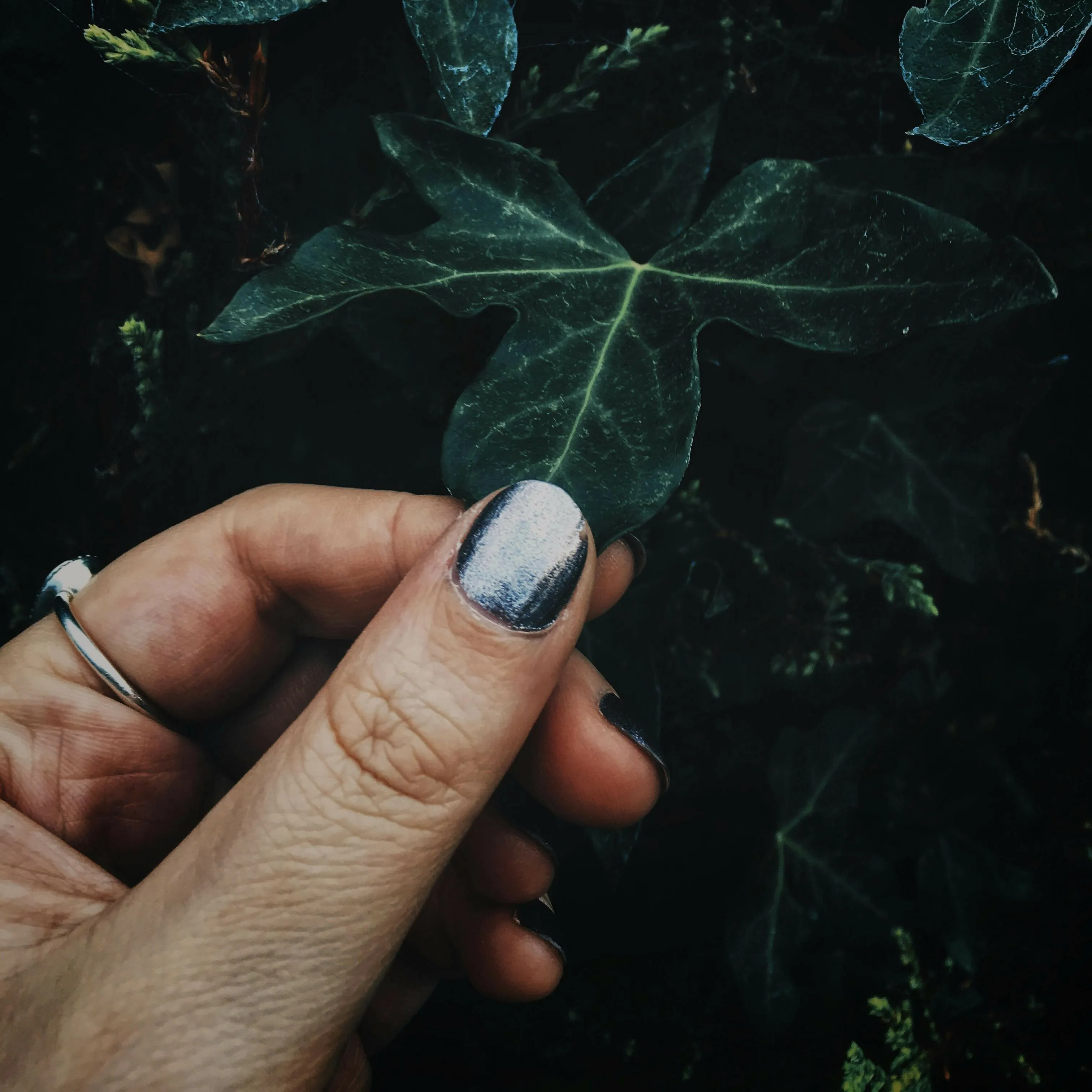 Nagellack Trend Winter Metallic Nails