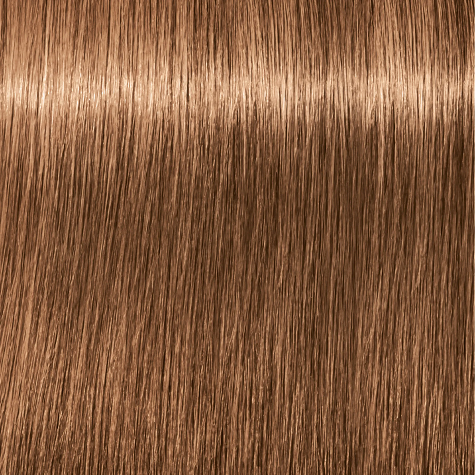 Schwarzkopf Igora Royal