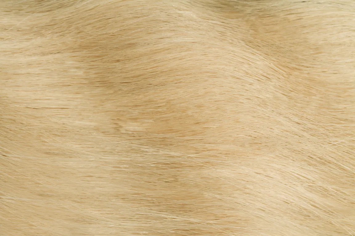Gold Fever Hair Tapes 35 cm