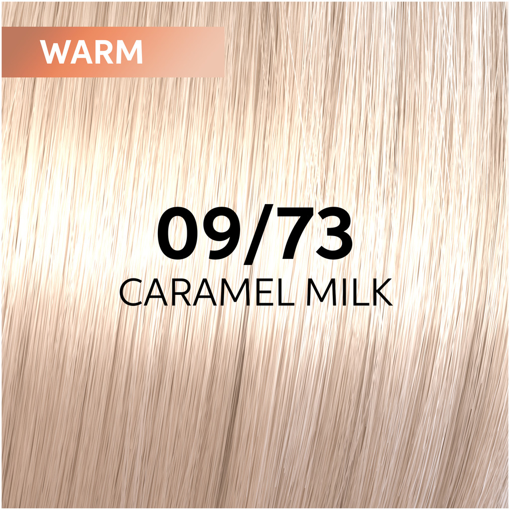 Wella Shinefinity 60ml