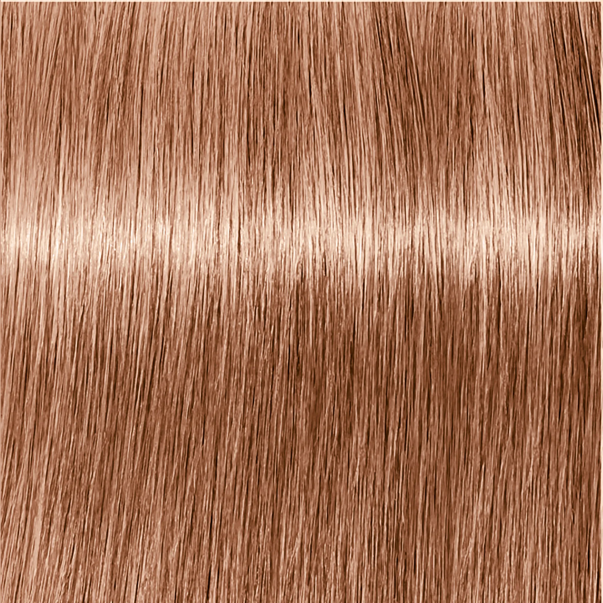 Schwarzkopf Igora Royal
