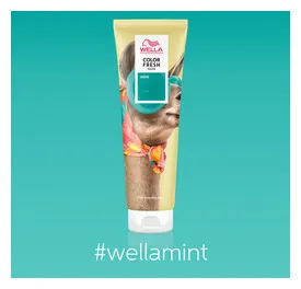 Wella Color Fresh Mask