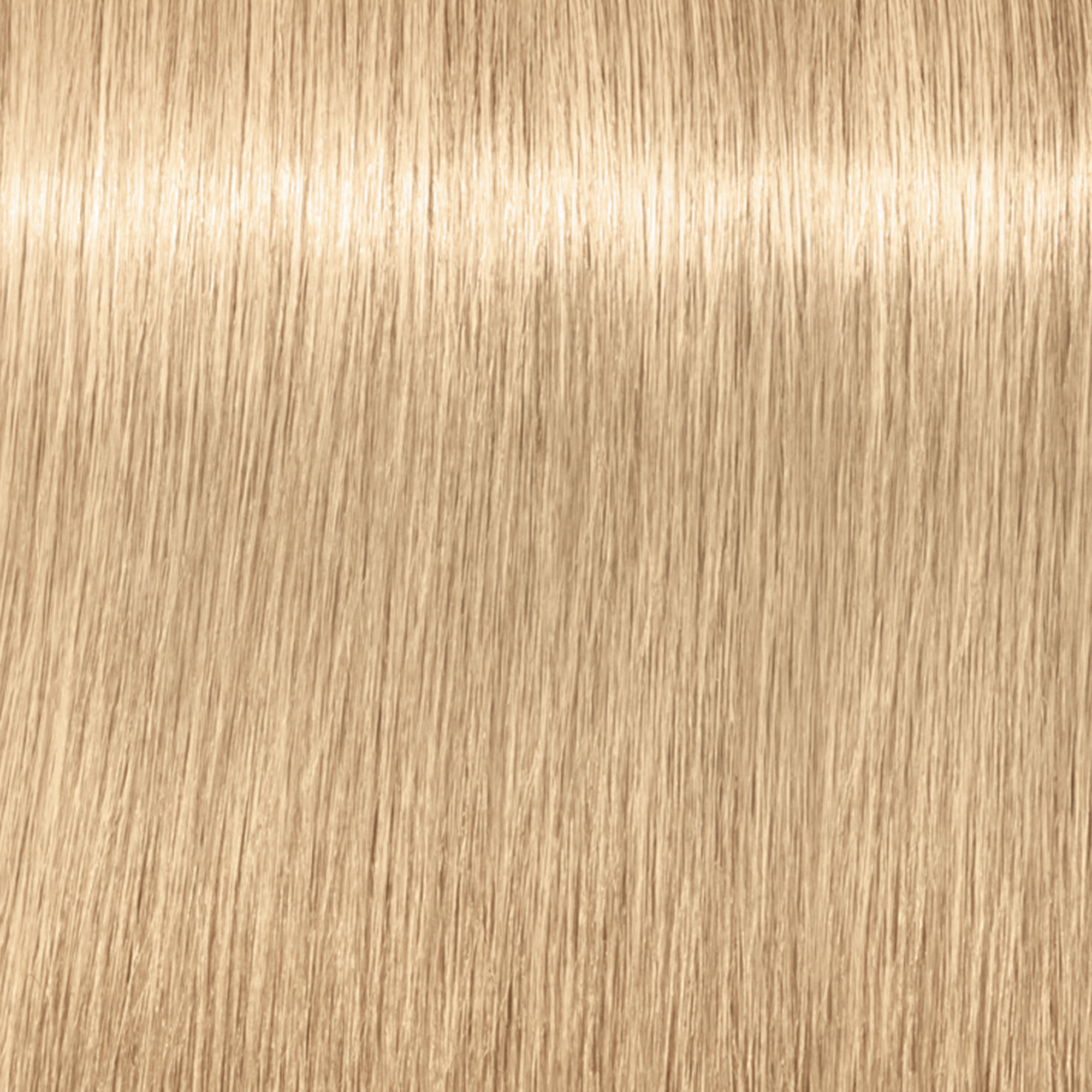 Schwarzkopf Igora Royal Highlifts