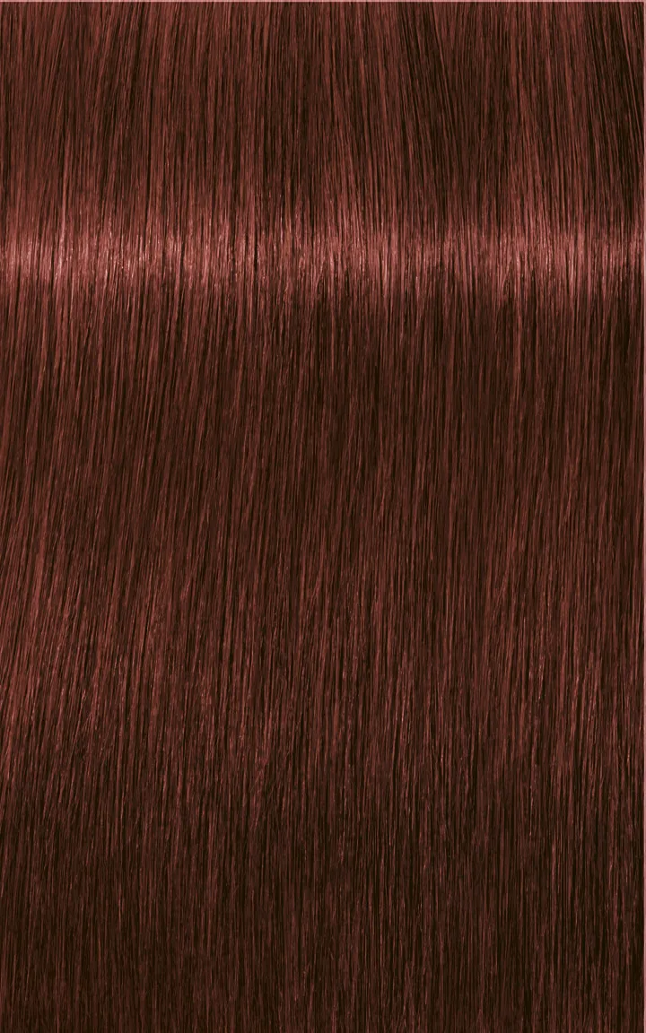 Schwarzkopf Igora Royal Absolutes