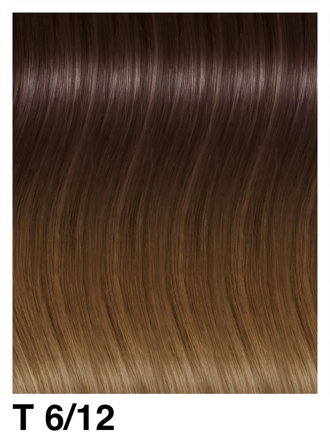 SHE Weft Shatush Extensions 50/55cm