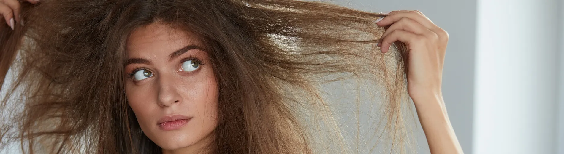 Kategorie trockene Haare