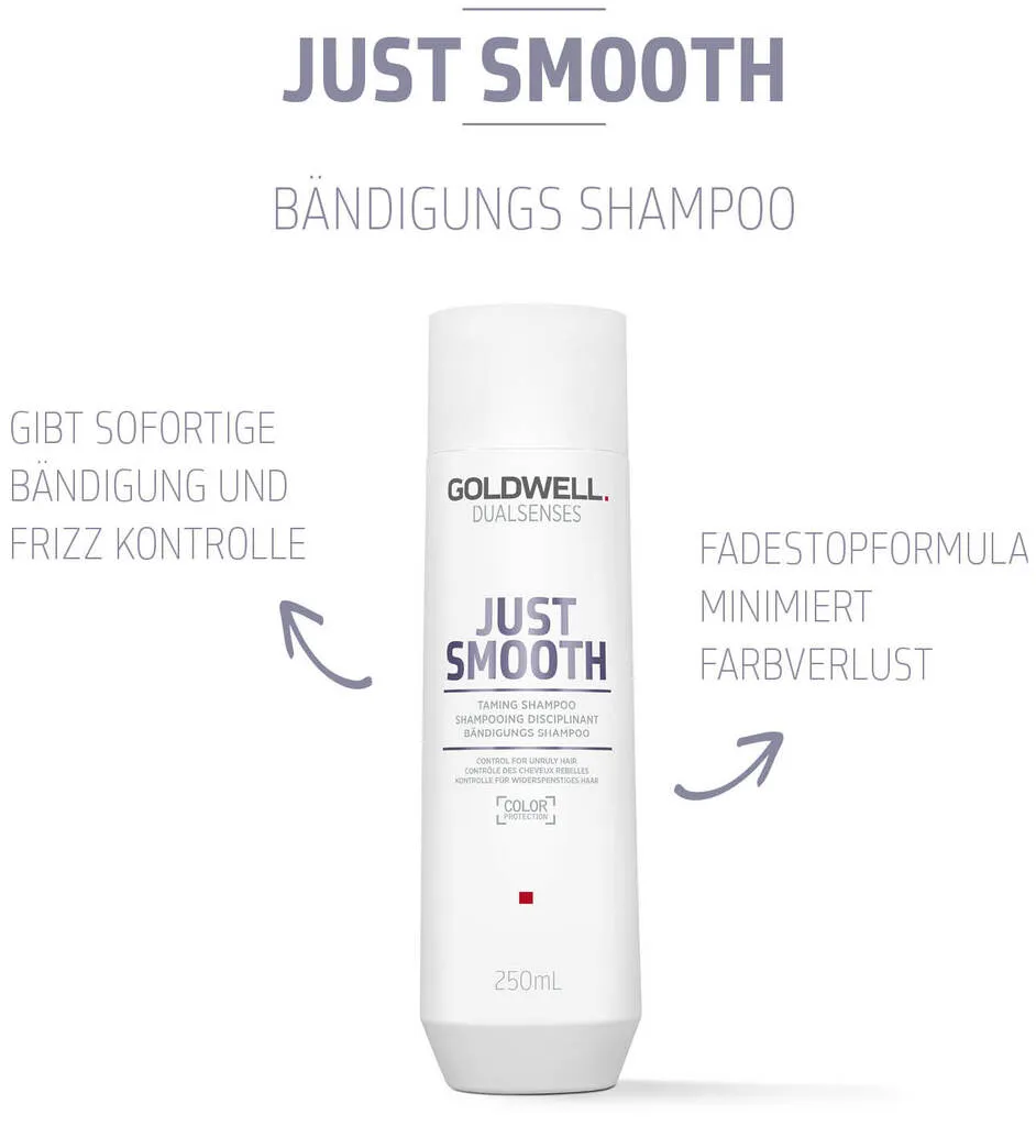 Goldwell Dualsenses Just Smooth Shampoo